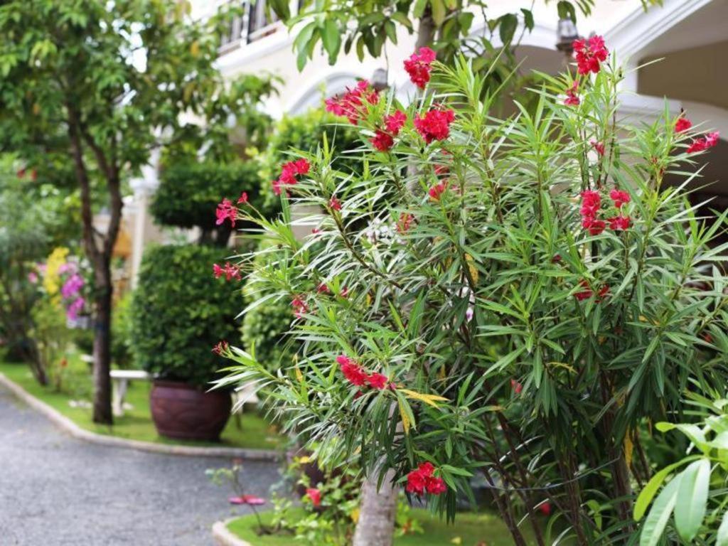 Alice Villa Hotel Takeo Exterior photo